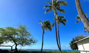 ハワイの青空の下で奏でるガーデンウェディング